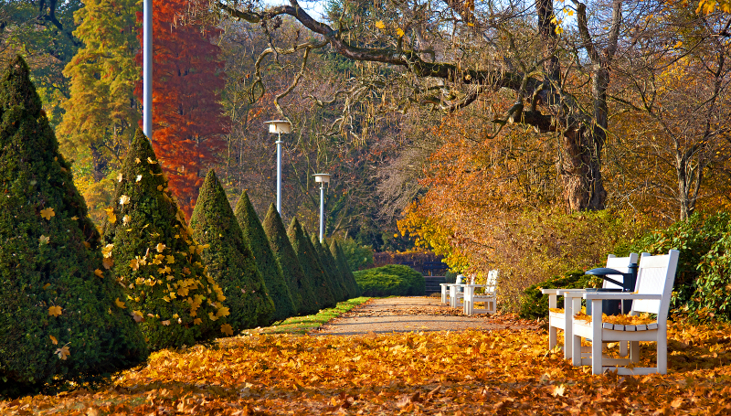 Großer Garten Dresden