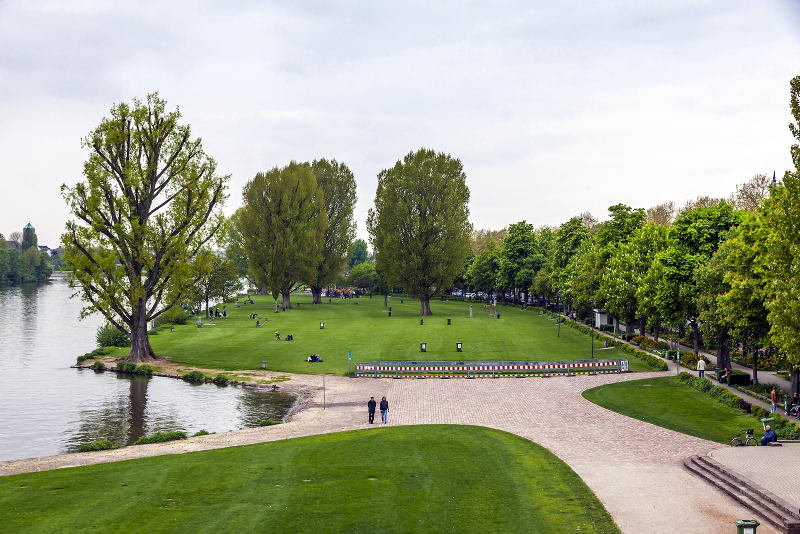 Neckarwiese Heidelberg