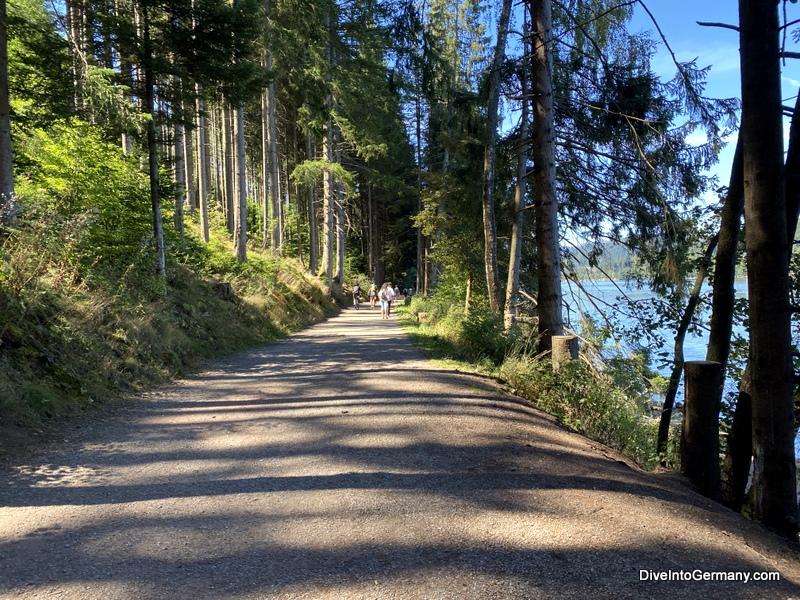 Hiking around Titisee