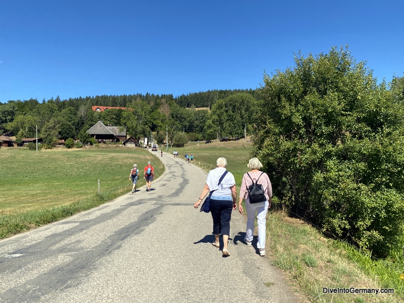 Hiking around Titisee