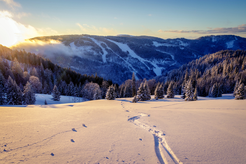 Titisee skiing