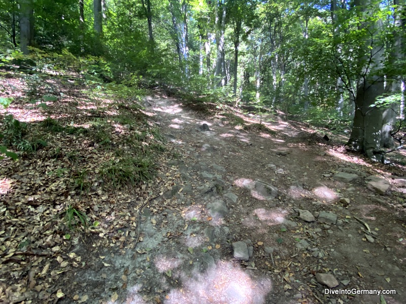 The hardest part of the trail up Heiligenberg especially if you have a bad ankle like me! Thankfully, it was over quick