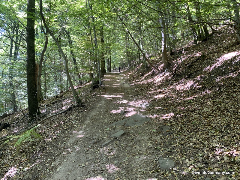 A fairly typical part of the trail up Heiligenberg 