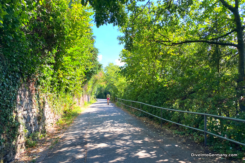 Philosophenweg (Philosopher's Walk) Heidelberg