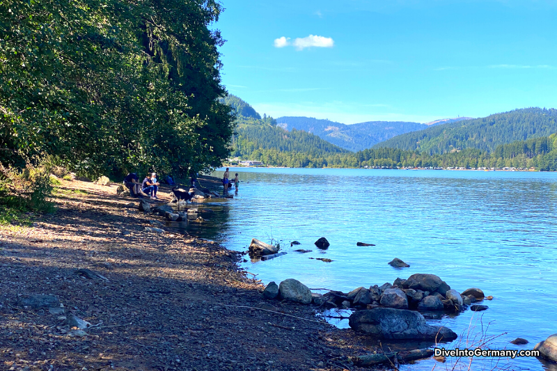 Views around Titisee