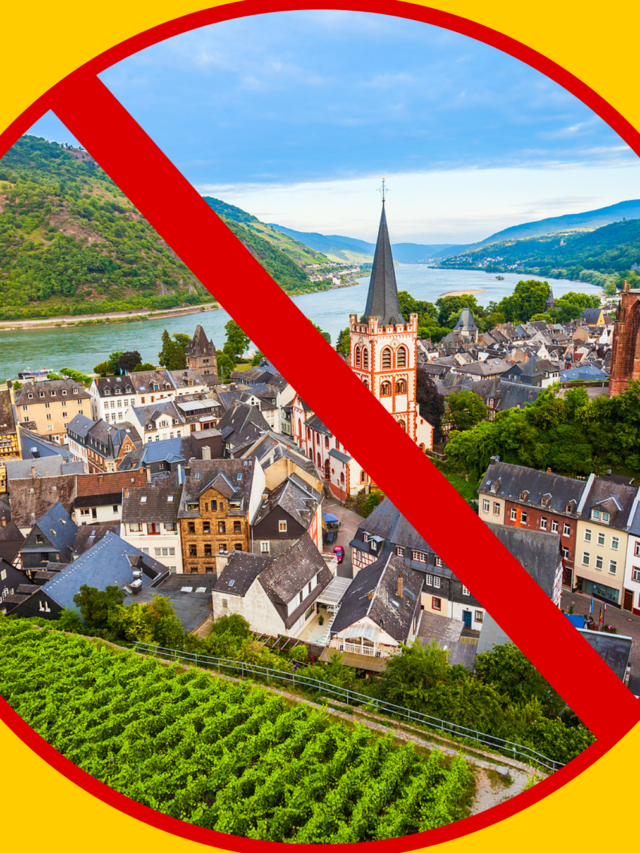 Uncovered: Exactly Why You Should NEVER Travel To Germany Revealed