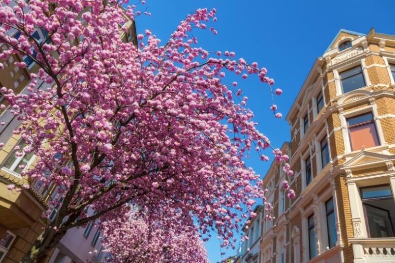 Best Time Of Year To Visit Germany - Your Month By Month Guide ...
