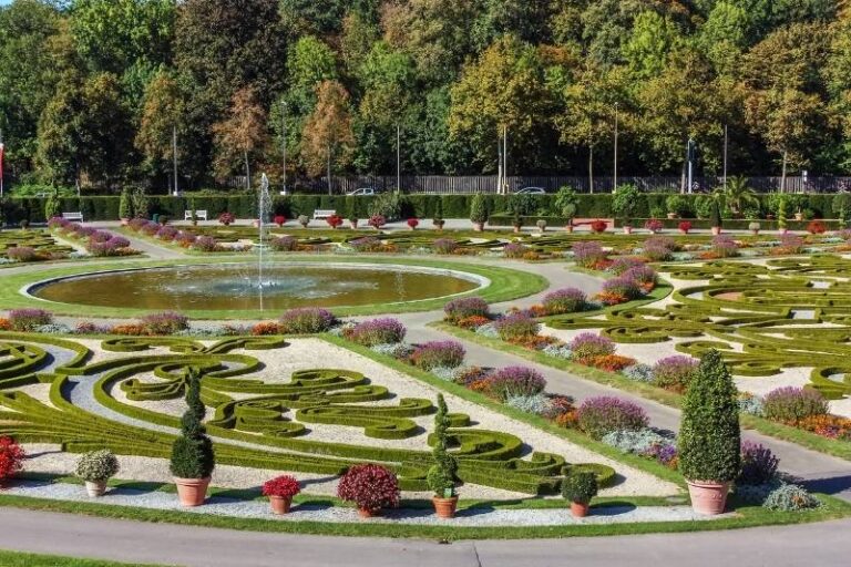 Elegantes Bluhendes Barock Parken Bilder