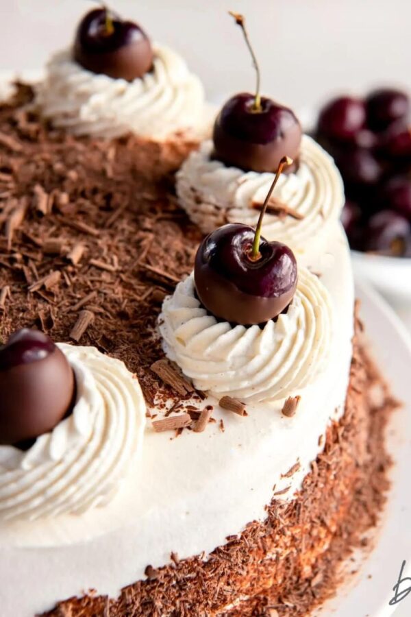 Top 11 German Cake Recipes That Must Be The Best In The World!š°