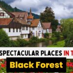 BEST PLACES IN BLACK FOREST