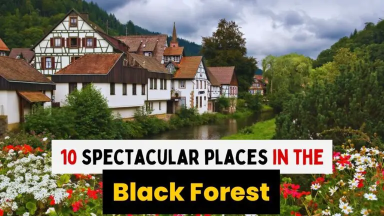 BEST PLACES IN BLACK FOREST