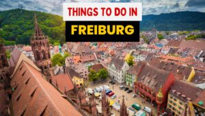 things to do in freiburg