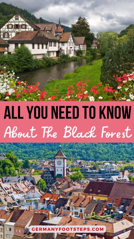 Don't Miss This Ultimate Black Forest Travel Guide
