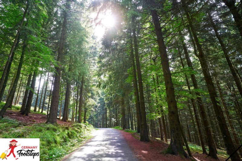 Harz Mountains