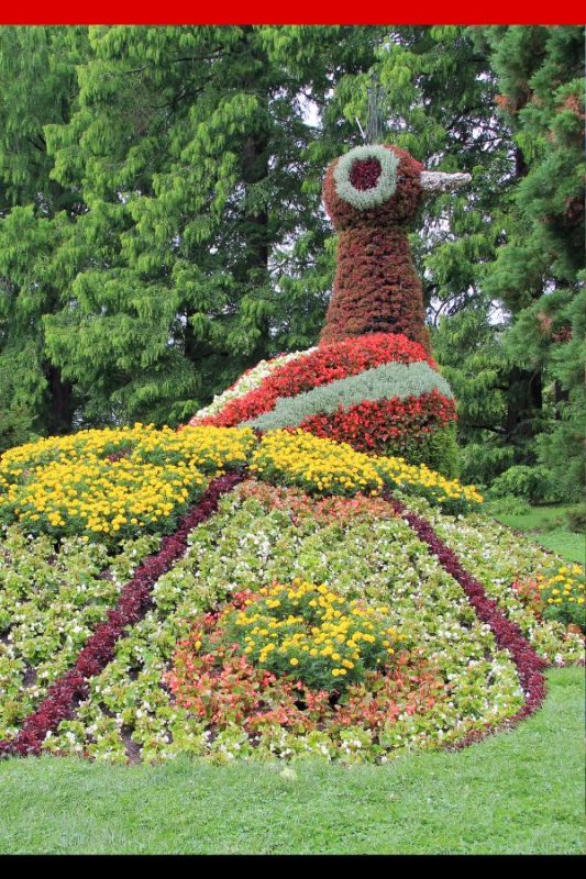 Mainau Island Lake Constance