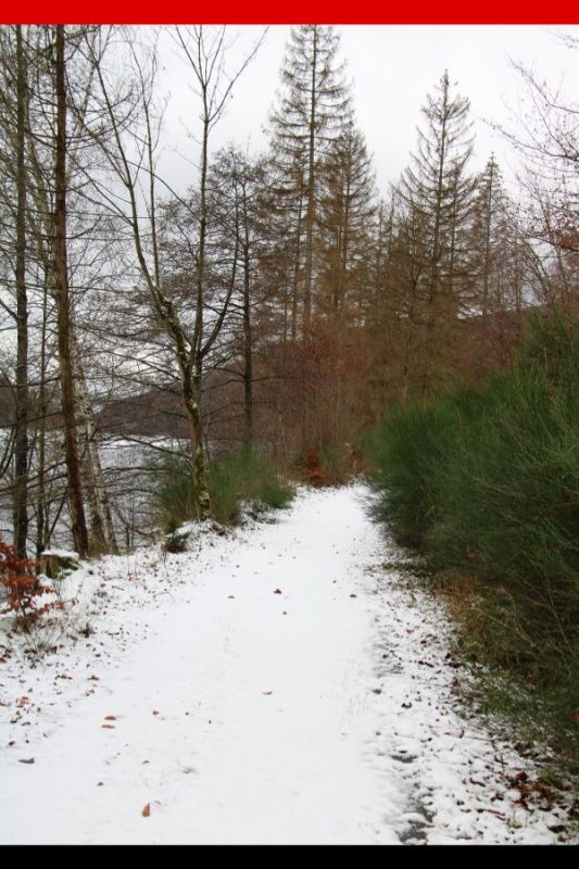 Harzer Hexen-Stieg Trail