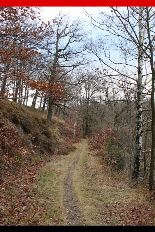 Harzer Hexen-Stieg Trail