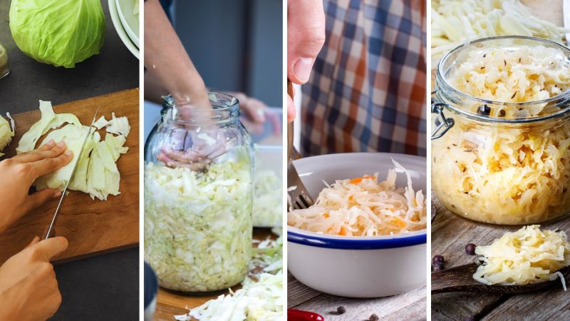 making Sauerkraut